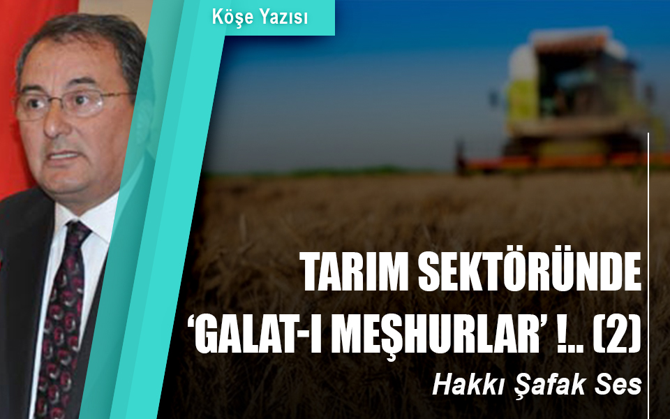 468498KÖŞE YAZISI.jpg